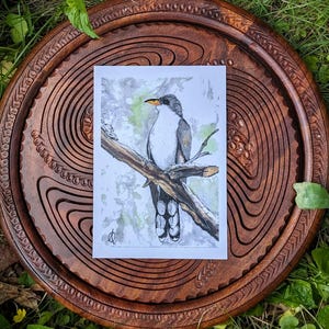Yellow-Billed Cuckoo Art Print