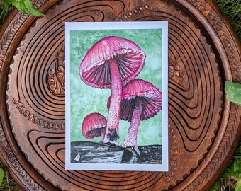Bleeding Mycena Mushroom Art Print
