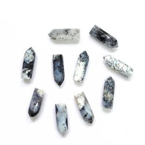 May include: A collection of nine polished dendrite opal points arranged in a circular pattern. Each stone features a smooth, faceted surface with a translucent white base and intricate, dark black fern-like inclusions scattered throughout the mineral.