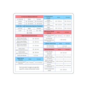 May include: A white chart with blue and pink headers detailing cardiac measurements, including LV volume and dimensions, with male and female ranges. Measurements are in cm and ml/m2. The text includes the phrase 'Normal adult ranges'.