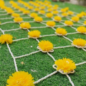 Chadar nuziale con fiore di perla pesante, baldacchino per ingresso nuziale, ingresso sposa indiana, haldi Chadar nuziale, Phoolo ki Chadar, ingresso nuziale Chunni