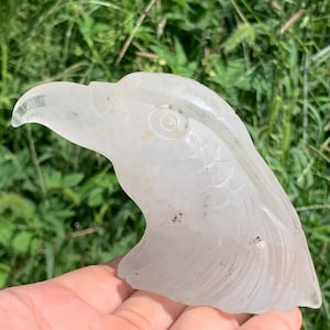 5,1 po. + crâne d'aigle en quartz clair naturel, cristal, quartz, crâne d'aigle, crâne d'aigle en cristal, décoration de la maison, spécimen en cristal 1 pièce