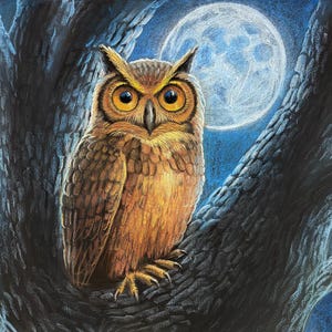 May include: A detailed illustration of a brown owl perched on a tree branch, with a full moon in the background. The owl has large, orange eyes and detailed feathering. The artwork is set against a dark blue and black backdrop.