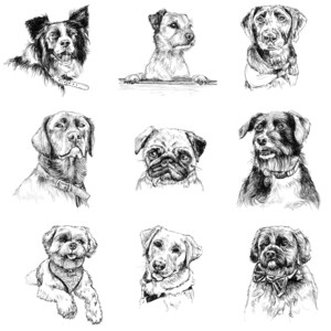 PET PORTRAIT - Small Ink Drawing