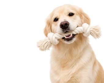 Juguete de cuerda para perros grandes y medianos, juguete de algodón resistente con nudos, cuerda resistente para masticar para perros que mastican con fuerza, juguete para la limpieza dental de cachorros.