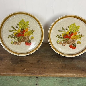 Vintage 1970 Mikasa Stone Manor Luncheon Plate set