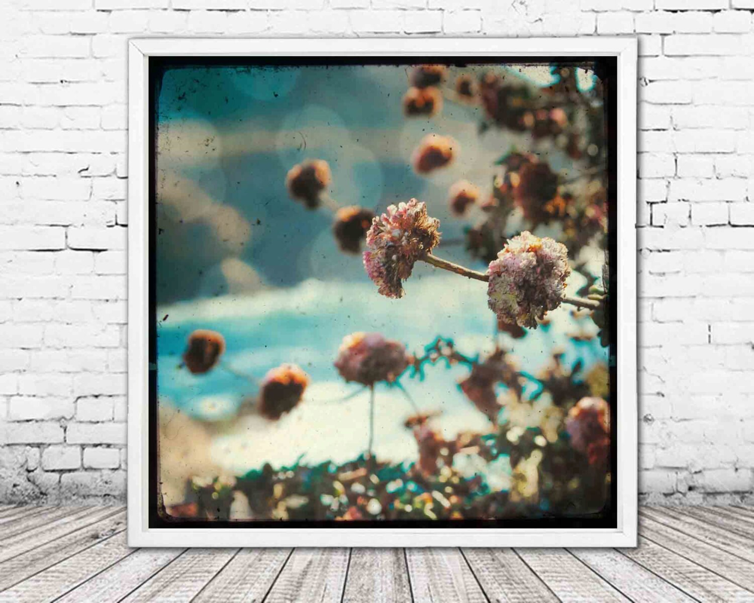 big sur print flower photography california wall art Etsy