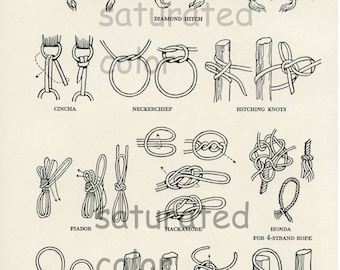 Vintage Cowboy Roper&#39;s Knots - DIGITAL IMAGE DOWNLOAD - 1950s Original Hitch Knots Children&#39;s Illustration Print  Roping Lasso Lariat Roper