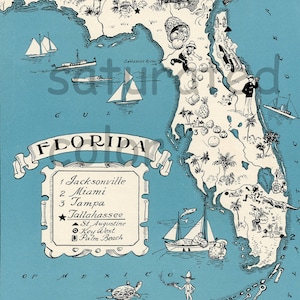 Florida Vintage kaart - kaart kunst - hoge resolutie digitale DOWNLOAD weergave van een jaren 1930 Vintage afbeelding kaart - Aqua-Turquoise - charmante & Fun - bruiloft