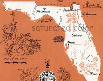 Florida Map Vintage - High Res DIGITAL IMAGE 1960s Picture Map - Fun Retro Color - image transfer for cards totes pillows souvenir print