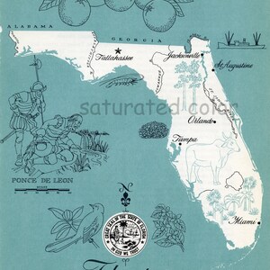 Florida kaart Vintage-hoge resolutie digitale afbeelding 1960s fotokaart-leuke retro kleur-beeldoverdracht voor kaartenbakken kussens souvenir afdrukken
