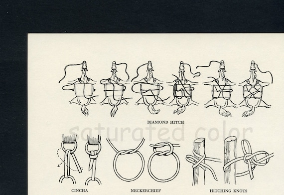 Vintage Cowboy Roper's Knots DIGITAL IMAGE DOWNLOAD 1950s Original