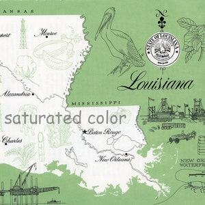 May include: A green map of Louisiana with illustrations of the state's natural resources and industries. The map shows the state's major cities, including New Orleans, Baton Rouge, Shreveport, and Monroe. The map also includes illustrations of oil rigs, cotton, sugarcane, and a pelican.