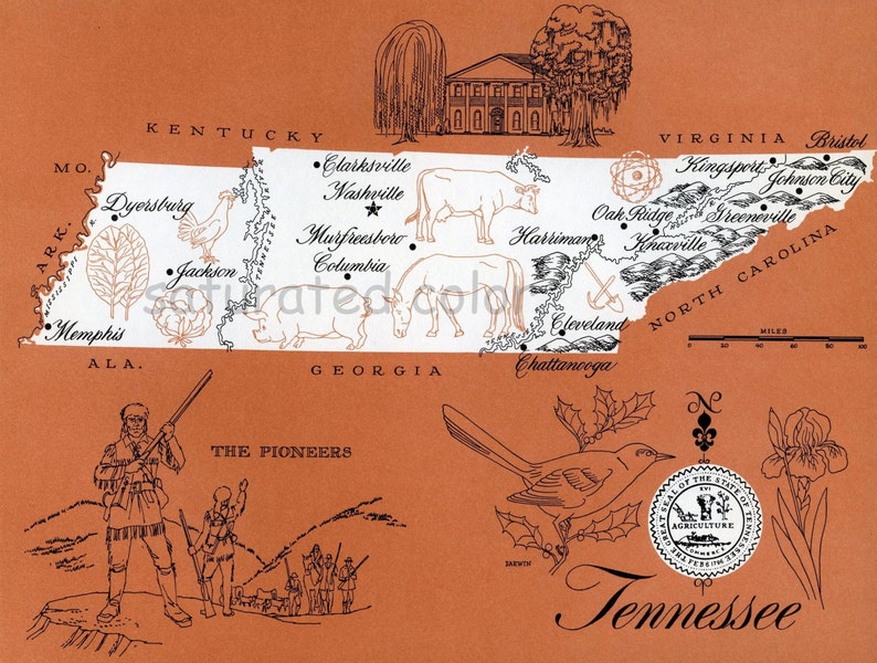 Tennessee Map Vintage High Res DIGITAL IMAGE 1960s Picture Map Fun Retro Colors image transfer for cards totes souvenir prints image 1