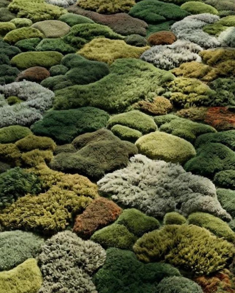 Hand Tufted Moss Rug 3D Textured Forest Floor Runner Realistic Green ...