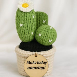 Handmade Knitted Cactus Decor with Flower & Quote Tag – Cute Desk Plant Gift, Crochet Cactus Plush, Teacher or Office Motivation Gift