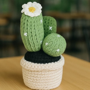 Crochet Cactus Plant in Pot – Handmade Knitted Cactus Decor, Desk Plant Gift, No-Water Succulent, Amigurumi Cactus Plushie