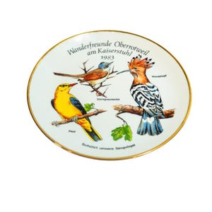 Vintage German Collector Plate – 1983 Birdwatching Club – “Protect Our Songbirds” – Oberrotweil am Kaiserstuhl
