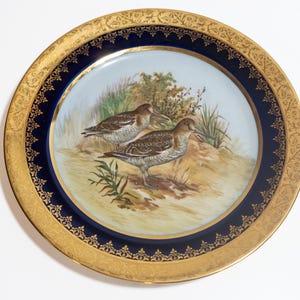 Vintage Limoges Decorative Porcelain Plate – Hand-Painted Birds – Made in France – 1970s