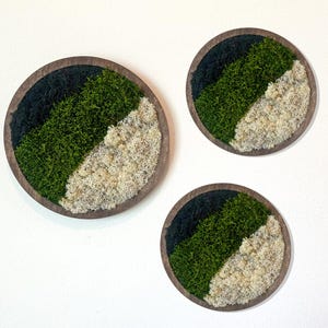 May include: Three round wall art pieces with a wooden frame. Each piece features a diagonal arrangement of dark green, light green, and off-white moss. The art pieces are mounted on a white wall.