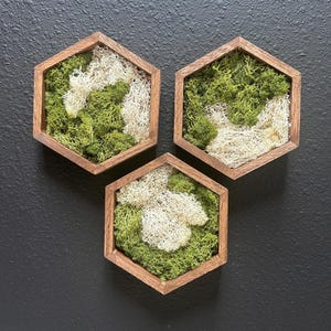 Mini Hexagon Moss Art – 6x5 Green & White Preserved Moss –