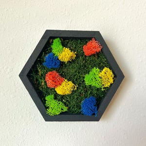 May include: A hexagonal wall art piece with a black frame. The interior features green moss and colorful accents of red, yellow, blue, and green. This decorative piece adds a touch of nature to any space.