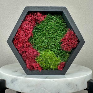 Mini Hexagon Moss Wall Hanging – 6x5” Green & Maroon Preserved Moss – Geometric Nature-Inspired Home Decor – Unique Gift or Birthday Present