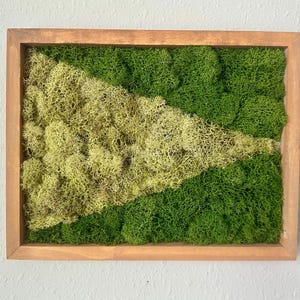 May include: A rectangular wooden framed wall art piece filled with preserved moss. The moss is arranged in a pattern of light green and dark green, creating a natural, textured aesthetic. The frame is a light brown color.
