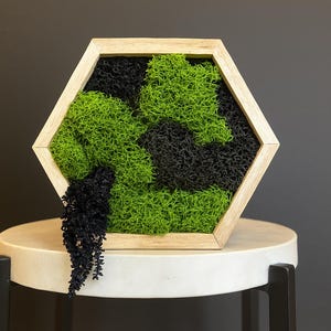 Mini Hexagon Moss Art – 6x5 Green & Black Preserved Moss – Nature-Inspired Wall Decor – Small Handmade Botanical Accent