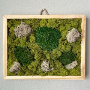 Moss Wall Art Rectangle 8x10 – Framed Reindeer and Pillow Moss in Green and White – Handmade Organic Nature Decor – Earthy Moss Gift