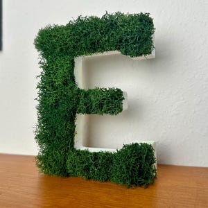 以下が含まれることがあります： 鮮やかな緑色の苔で覆われた白い木製の装飾文字「E」。 苔は文字に自然で質感のある外観を与え、白い壁を背景に木製の表面に表示されています。