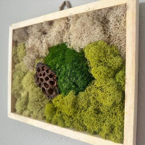 May include: A rectangular wooden framed wall art piece featuring a natural moss arrangement. The moss is in shades of green and beige, with a dried seed pod accent. The frame is made of light-colored wood.