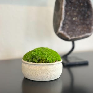 May include: A small, round, white textured ceramic pot filled with vibrant green moss. The pot sits on a dark surface, with a blurred geode on a black stand in the background. A decorative item for home decor.