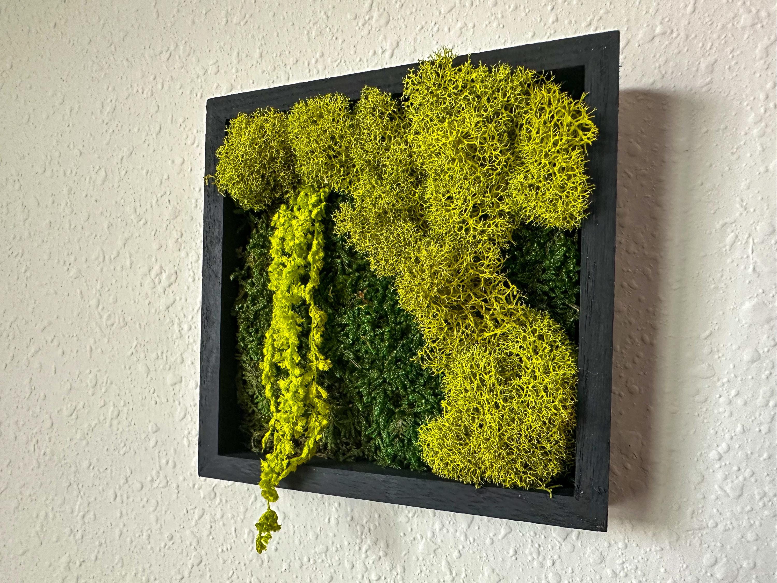 ミニスクエアモスウォールアート – 5x5インチ ミックスグリーン
