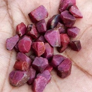 Puede incluir: Una colección de pequeñas piedras preciosas de rubí en bruto y sin pulir, con formas irregulares y tonos variados de rosa intenso y rojo. Estos especímenes minerales naturales presentan superficies facetadas y texturas opacas.