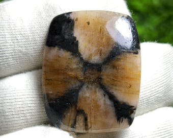 Natural Chiastolite Cross Stone Cabochon: Rare Star Andalusite Gemstone (28.5x23 MM)