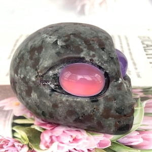May include: A dark grey stone sculpture of an alien head with large, oval eyes. The eyes are made of polished, translucent stones, one pink and the other purple. The sculpture has a smooth, rounded shape with subtle facial features.