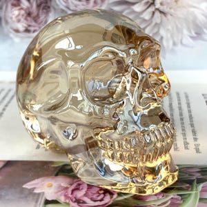 Puede incluir: Una figura decorativa de calavera hecha de vidrio transparente de color ámbar. La calavera tiene detalles, incluyendo cuencas de los ojos, cavidad nasal y dientes. El vidrio refleja la luz, creando reflejos y sombras.