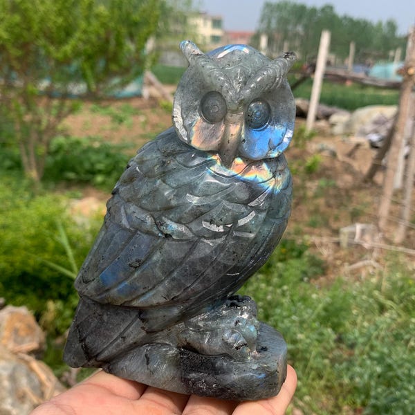 Peut inclure: Une figurine de hibou sculptée dans une pierre gris foncé avec des reflets irisés bleus et verts. Le hibou a des plumes détaillées et de grands yeux ronds. La figurine est perchée sur une petite base texturée.