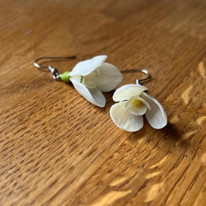 Pendientes de campanillas de invierno. Pendientes con forma de flores.