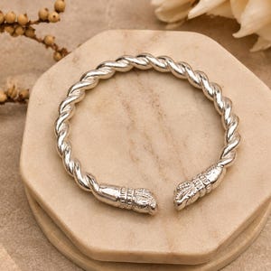 Può includere: Un bracciale aperto color argento caratterizzato da un design a corda intrecciata lungo tutto il cerchio. Le due estremità del bracciale sono rifinite con tappi in metallo dettagliati e testurizzati che ricordano zampe stilizzate o terminali.