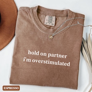 Comfort Colors® Hold on Partner I&#39;m overstimulated Shirt, Funny Humor Shirt, Sarcastic Shirt, Funny Quote Shirt, Weird Dark Humor Shirt