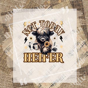 Not Today Heifer PNG V2, Highland cow PNG, Baby Cow Png, Funny, Sublimation, Country Cow, Funny Highland Cow, Digital Download, DTF