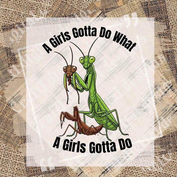 【希少プロモ盤！】PRAYING MANTIS /THIS TIME GIRL Time Tells No Lies - Amazon.com Music