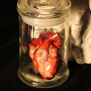 Realistic Human Heart Specimen in Glass Jar | Creepy Halloween Desk Decor | Handmade Resin Anatomy Model | Oddity Gift | Dark Home Prop