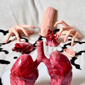Realistic Organ Props | Handmade Cosplay Halloween Decor | Brain Heart Lungs Limbs Ears | Anatomical Art | Halloween Viscera Model