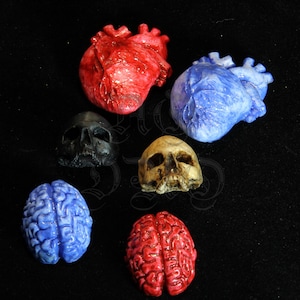 Anatomical Fridge Magnets Set | Horror Home Decor | Brain Skull Heart Organs | Creepy Halloween Gift Idea | Gothic Style | Resin Design
