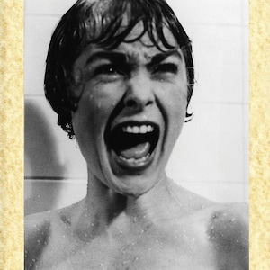 Cinema Americano Art 30 Janet Leigh (Psyko), Papiarte Poster Stampe da Parete, Vintage su Carta Pergamenata Arredamento, Casa