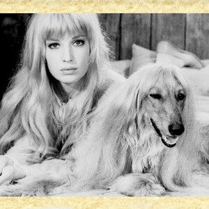 Cinema Italiano art 34 Monica Vitti, Papiarte Poster Stampe da Parete, Vintage su Carta Pergamenata, Arredamento, Casa