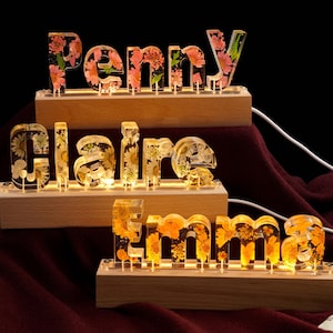 Personalisierte Name Brief Lampe, Benutzerdefinierte Blumen Nachtlicht, Name Nachtlicht, getrocknete Blume Harz Lampe, Weihnachtsgeschenke, Baby Geschenk, Geschenk für sie